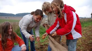 Kartoffel-Klauben mit Schulklassen am Umweltbildungszentrum HAUS AM HABSBERG